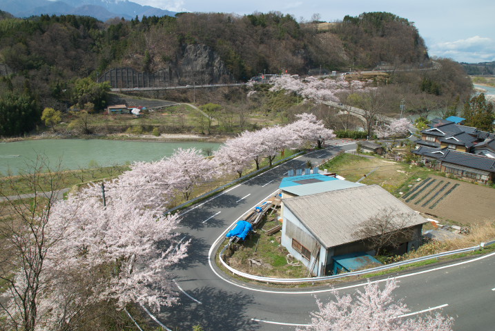 坂戸橋と桜（中川村）