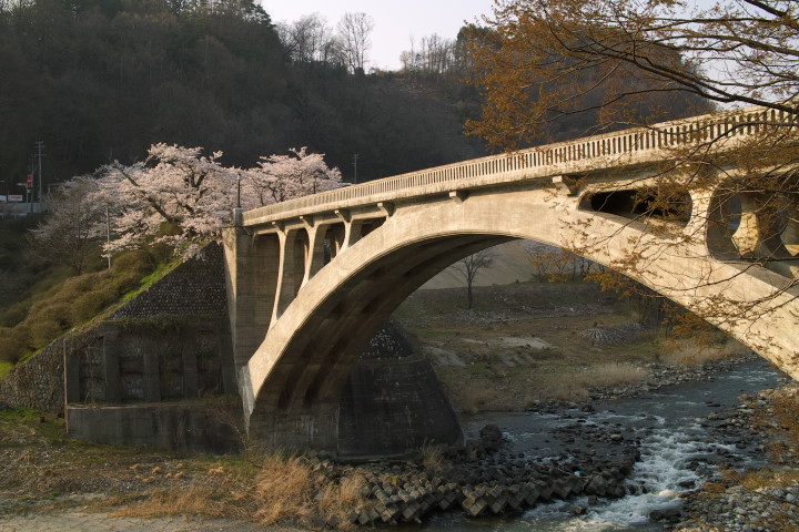 坂戸橋を彩る桜（中川村） - 2011/4/16（土）