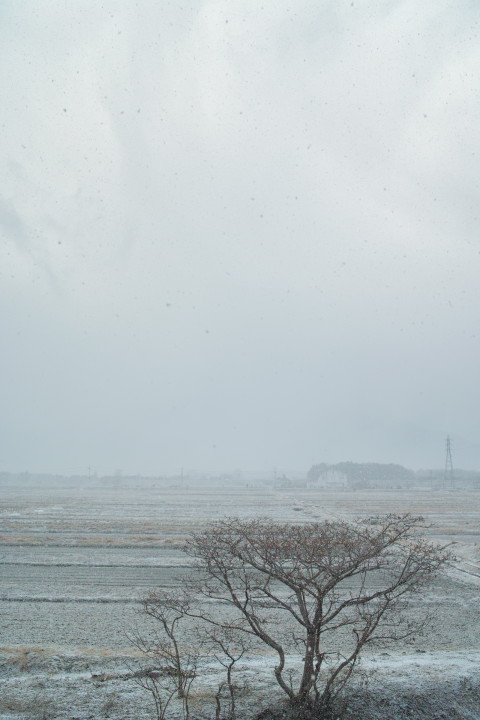 [空の写真] 地震時の雪景（伊那市） - 2011/3/11（金）