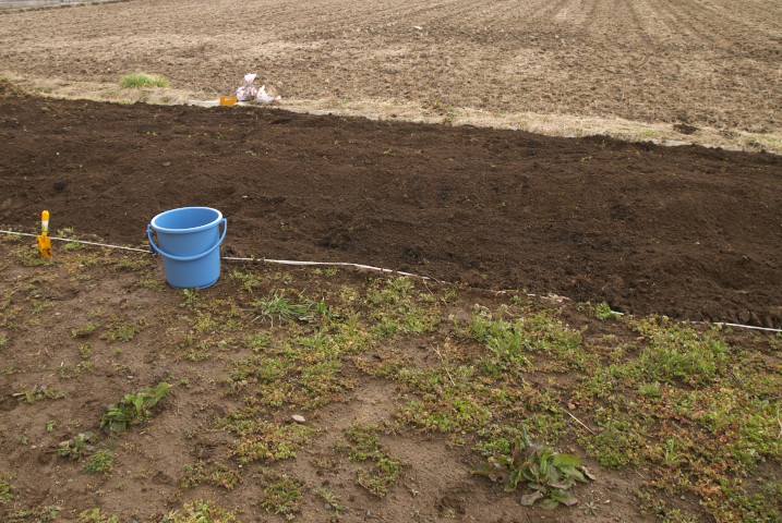 [家庭菜園] 堆肥と消石灰 - 2012/4/1（日）