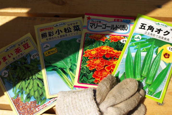 [種蒔き] 小松菜・オクラ・茶豆・マリーゴールド＋パプリカ・茗荷 - 2012/4/28（土） 