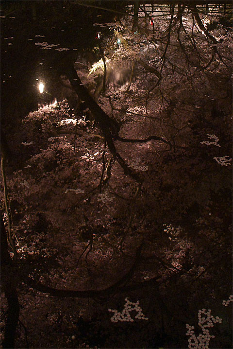 水面に映る高遠城址公園の夜桜 - 2009/4/12（日）