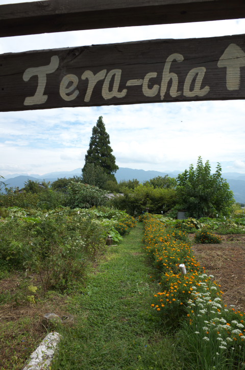 Tera-cha（テラチャ）（飯島町；フレンチ）の料理の写真とか