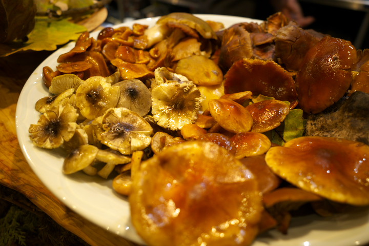 山肴野蔌（伊那市長谷）の料理の写真とか