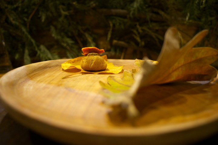 山肴野蔌（伊那市長谷）の料理の写真とか