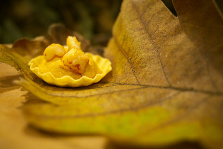 山肴野蔌（伊那市長谷）の料理の写真とか
