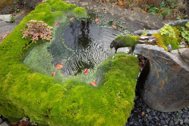 湯川酒造店（木曽郡木祖村）の料理の写真とか